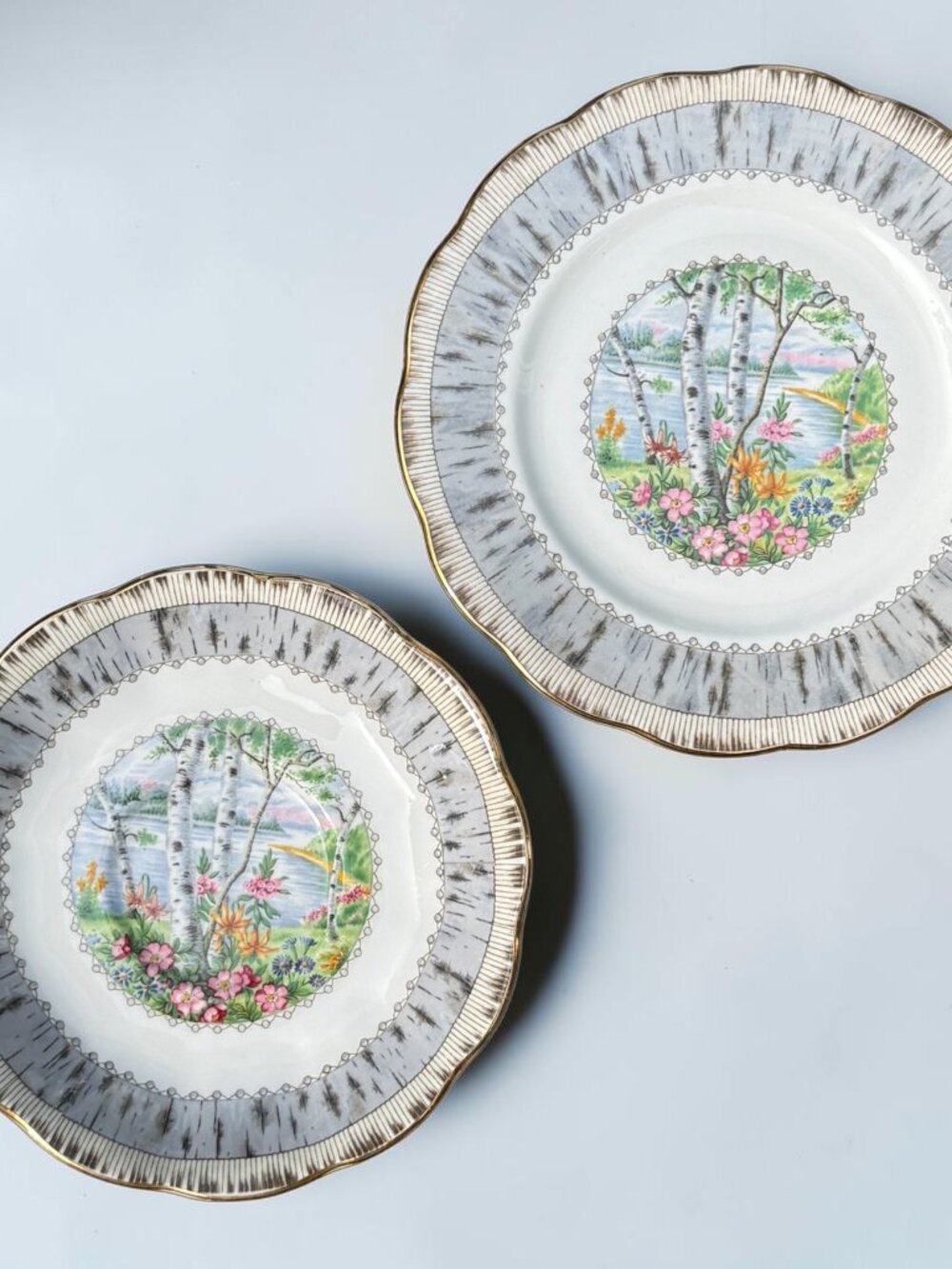 Vintage Royal Albert Silver Birch Bone China Bowl & Plate Set